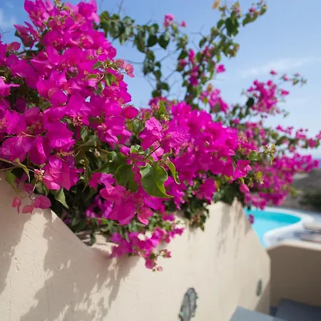 Theros Houses Santorini Kamari (Santorini)